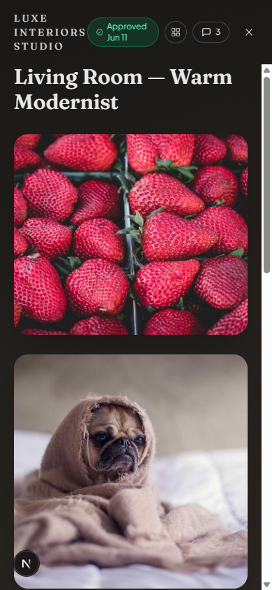 A mood board re-flowed into a scrolling editorial story on a phone